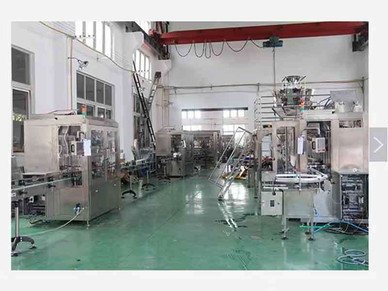 Shanghai Npack Automation Equipment Co., Ltd. 製造者の生産ライン
